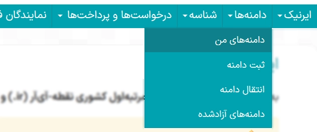 انتخاب دامنه قابل انتقال در ایرنیک